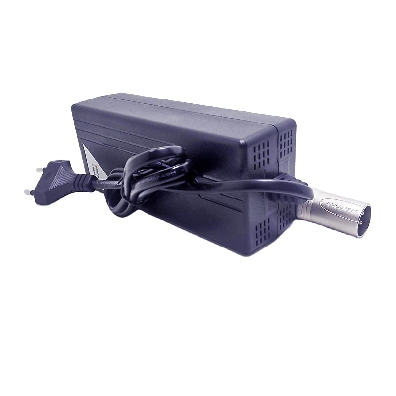 Smart Charger 36V 2a 3a 150W DC 44.1V for SLA /AGM /VRLA /GEL lead acid batteries For Monitoring Systems and Power Tools 