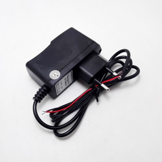 Factory Direct Sale 8.4V 1A 15W Wall Charger for 2s 6V 7.4V Li-ion/Lithium Polymer Battery